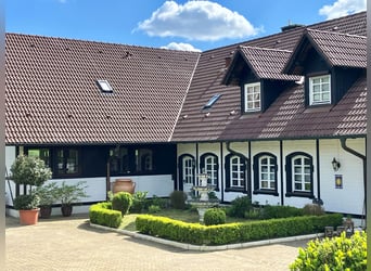 EXKLUSIVE REITANLAGE IM NECKAR-ODENWALD-KREIS - Objekt Nr. 385-25
