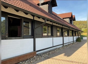 EXKLUSIVE REITANLAGE IM NECKAR-ODENWALD-KREIS - Objekt Nr. 385-25