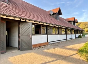 EXKLUSIVE REITANLAGE IM NECKAR-ODENWALD-KREIS - Objekt Nr. 385-25