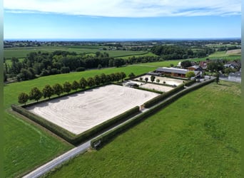 Exklusive Reitanlage im Rhein-Sieg-Kreis