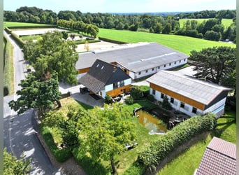 Exklusive Reitanlage im Rhein-Sieg-Kreis