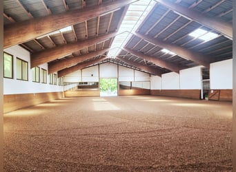 Exklusive Reitanlage mit großzügigem Wohnhaus und vielfältigen Nutzungsmöglichkeiten in Bielefeld