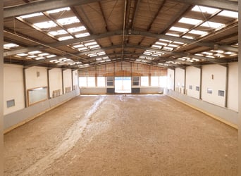 Exklusive Reitanlage mit modern saniertem Wohnhaus, Reithalle und großzügigen Weideflächen