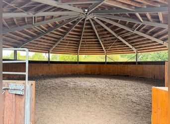 Exklusive Reitanlage umfeld Düsseldorf, Deutschland
