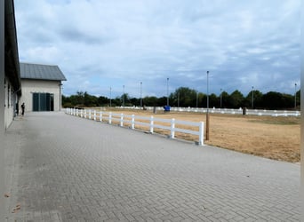 Exklusive Reitanlage umfeld Düsseldorf, Deutschland
