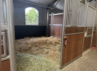Exklusive Reitanlage umfeld Düsseldorf, Deutschland