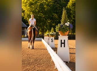 Exklusive Reitsportanlage mit Klinik & Pferde-Rehabereich bei Stuttgart