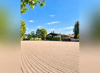 Exklusive Reitsportanlage mit Klinik & Pferde-Rehabereich bei Stuttgart