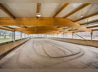 Exklusiver Pferdehof mit preisgekrönt saniertem Jurabauernhaus inklusive nachhaltigem Energiekonzept
