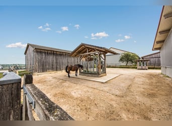 Exklusiver Pferdehof mit preisgekrönt saniertem Jurabauernhaus inklusive nachhaltigem Energiekonzept