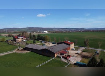 Exklusiver Pferdehof mit Reitanlage & Mehrfamilienhaus – Rendite und Lebensqualität vereint