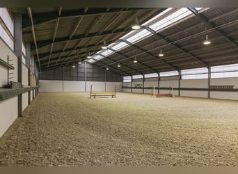 Exklusives privates Reiteranwesen mit Reithalle, Stallungen und luxuriösem Wohnhaus