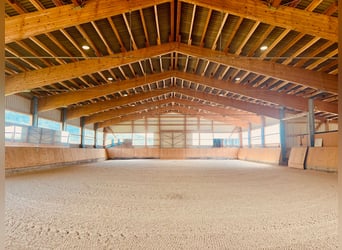 Exklusives Reiteranwesen mit Alpenpanorama – Pferdeparadies mit Perspektive V13084