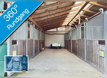 FREI // Reitanlage der kurzen Weg // Kiel, Ostsee // Halle, Führanlage // schnell erreichbar!