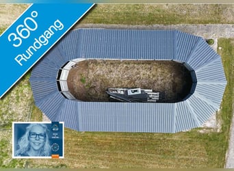 FREI // Reitanlage der kurzen Weg // Kiel, Ostsee // Halle, Führanlage // schnell erreichbar!