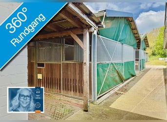 FREI // Reitanlage der kurzen Weg // Kiel, Ostsee // Halle, Führanlage // schnell erreichbar!