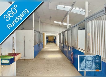 FREI // Reitanlage der kurzen Weg // Kiel, Ostsee // Halle, Führanlage // schnell erreichbar!