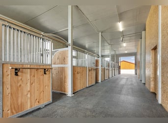 Für Pferdemenschen: Neue Luxus-Reitanlage im Allgäu