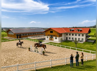 Für Pferdemenschen: Neue Luxus-Reitanlage im Allgäu