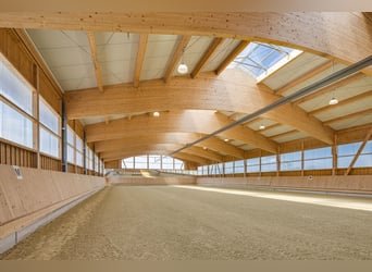 Für Pferdemenschen: Neue Luxus-Reitanlage im Allgäu