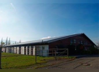 Gepflegte Reitanlage direkt an der Grenze zur Schweiz!