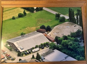 Gepflegte Reitanlage direkt an der Grenze zur Schweiz!