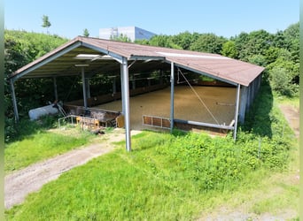 Großzügige Hofanlage in Ortsrandlage