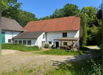 Großzügige Hofanlage in Ortsrandlage