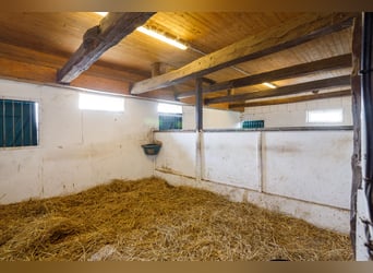 Großzügiges Anwesen mit Pferdehaltung, Ferienwohnung, Bauplätzen und vielfältigem Nutzungskonze