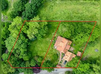 Großzügiges Landhaus für Pferde- & Naturliebhaber im Reitsportort Elmlohe | 4.140 m² Grundstück