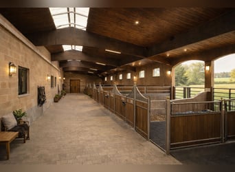 Gutshof mit 47 ha im Südschwarzwald – ideal als Reitanwesen