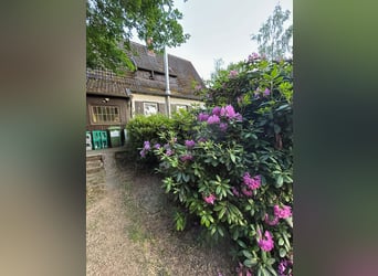 Haus mit Pferdestall, Roundpen und Reitplatz in ruhiger Ortsrandlage
