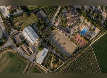 Haus mit Reitanlage