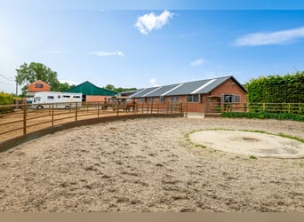 Hippisch complex met binnen- en buitenpiste