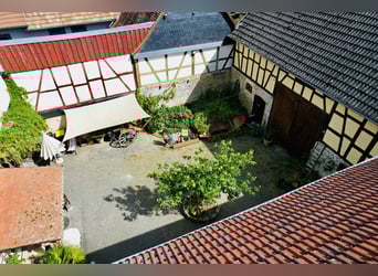 Historischer Hof mit viel Charme und Ambiente - 2 Wohneinheiten und Pferdehaltung