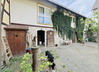 Historischer Hof mit viel Charme und Ambiente - 2 Wohneinheiten und Pferdehaltung