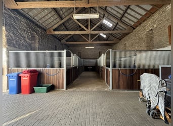 Historischer Vierkanthof mit Reitanlage