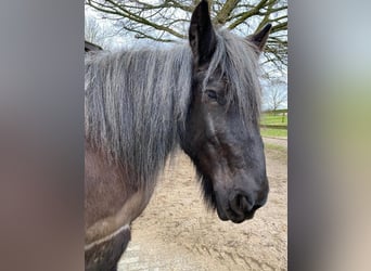 Historisches Großanwesen mit Park, eigenem See für Natur- und Tierliebhaber!