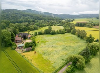 Historisches Mühlenanwesen in Alleinlage mit Pferdehaltung, Wasserkraft und attraktiven Einnahmemögl