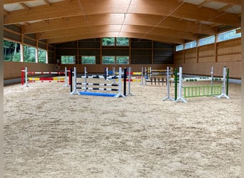 Hochwertige Reitsportimmobilie für den professionellen  Bereich