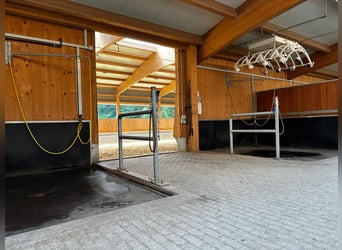 Hochwertige Reitsportimmobilie für den professionellen  Bereich