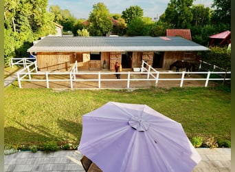 kleine Reitanlage mit laufendem Betrieb sucht neuen Inhaber