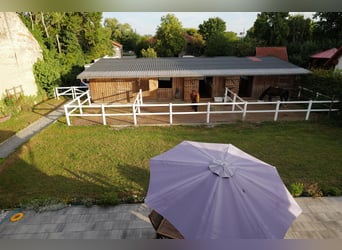 kleine Reitanlage mit neuem Energiesparhaus