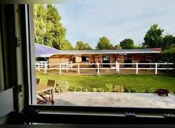 kleine Reitanlage mit neuem Energiesparhaus