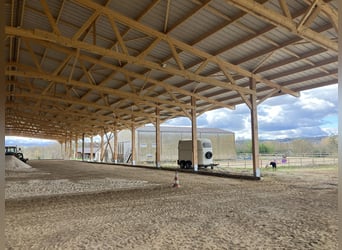 Komplett einsatzbereiter Reitstall!