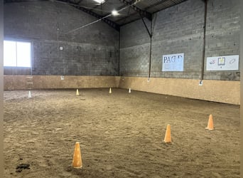 Komplett einsatzbereiter Reitstall!