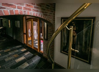 Komplette Reitanlage mit Landhaus nähe Deutsche Grenze in NL.