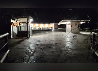 Kürmerhof Hit Aktivstall
