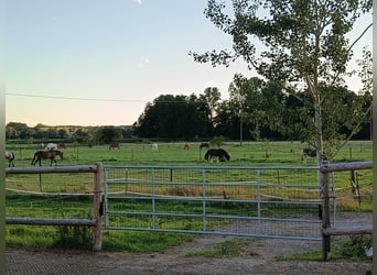 Kürmerhof Hit Aktivstall