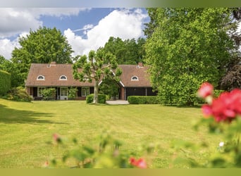 LANDSITZ MIT TORHAUS, 2 BAUPLÄTZE UND WEIDEFLÄCHEN IN DER LÜNEBURGER HEIDE